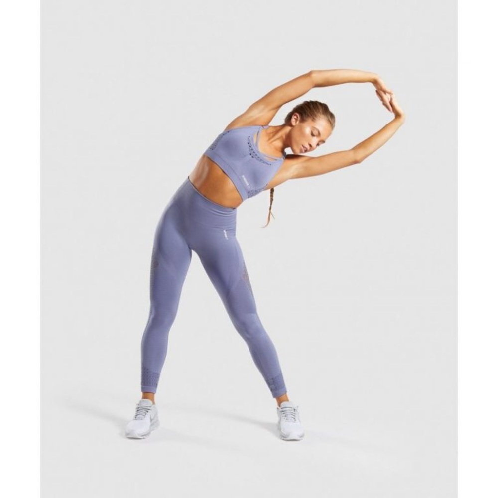 Gym-shark purple leggings and sports bra